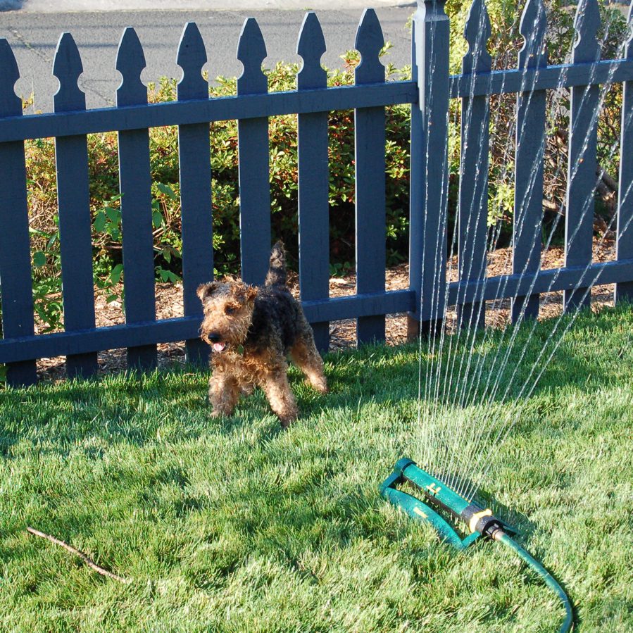 sprinklersophie